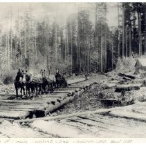 1890 - Horse Logging - Cowichan Lake - 1983002007d+e - jpg72 - 001-002